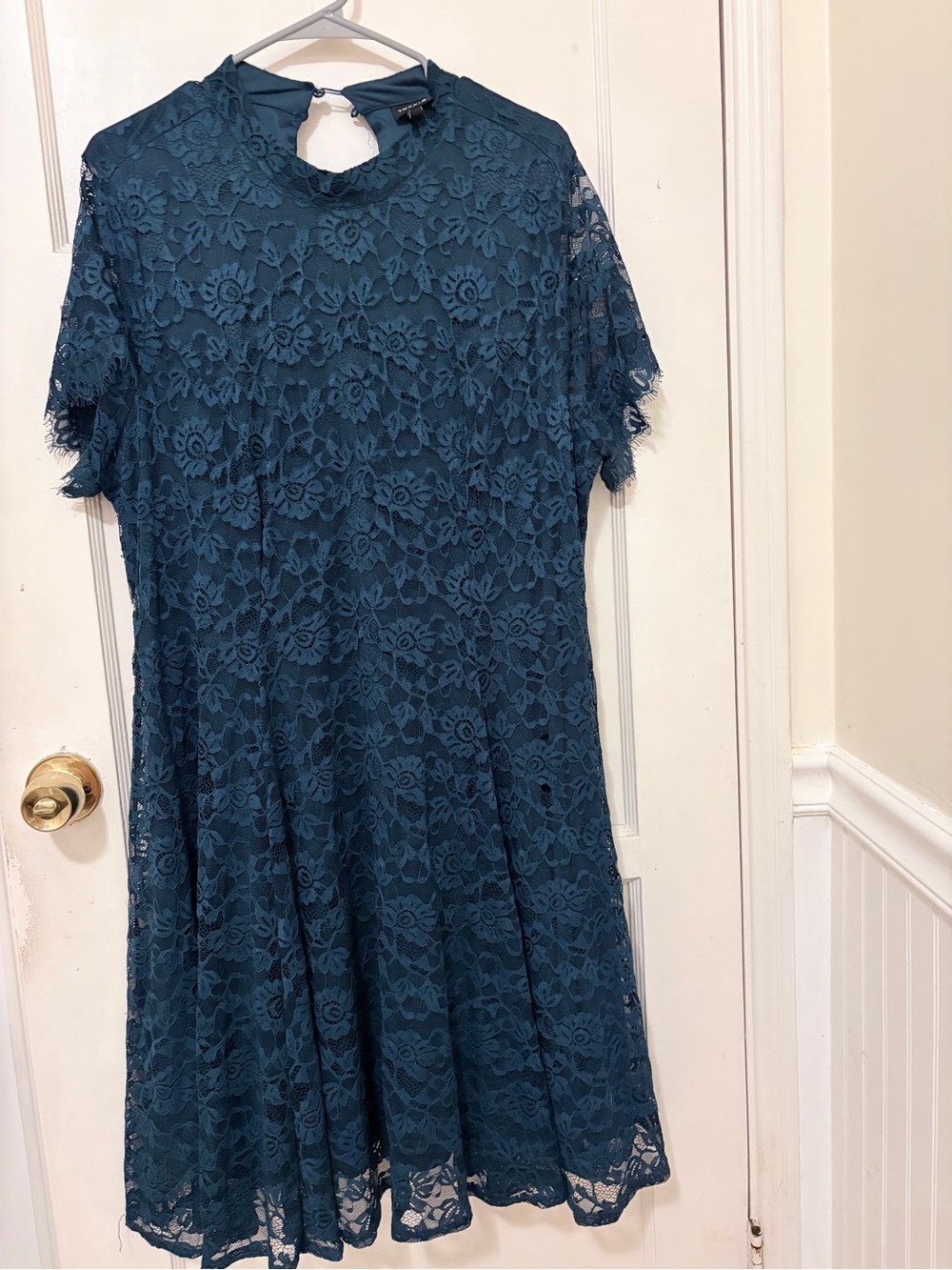 Torrid Floral Lace Mini Dress in Blue